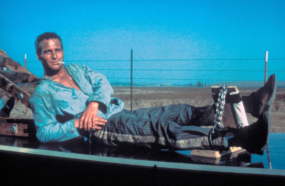 Paul Newman: pic #244620