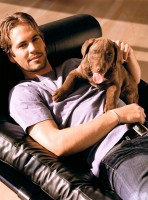 Paul Walker photo #