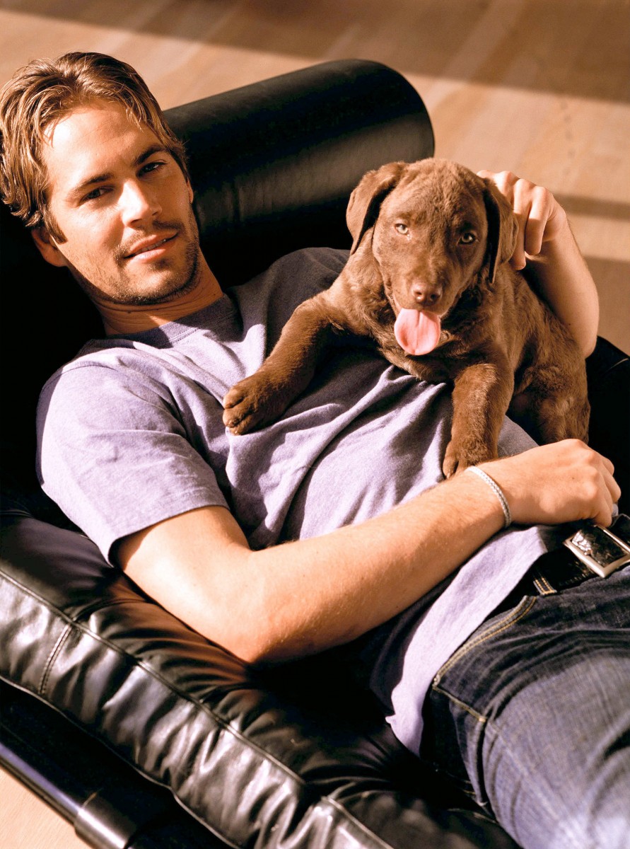 Paul Walker: pic #61913