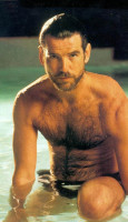 Pierce Brosnan photo #