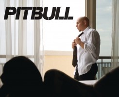 photo 19 in Pitbull gallery [id395354] 2011-08-01