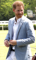 Prince Harry of Wales photo #