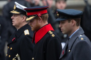 photo 8 in Prince Harry of Wales gallery [id811601] 2015-11-13