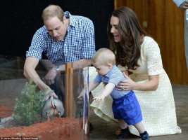 Prince William photo #