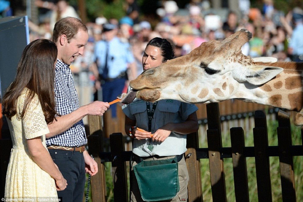 Prince William: pic #692185