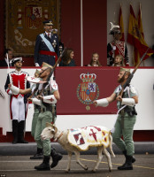 Queen Letizia of Spain photo #