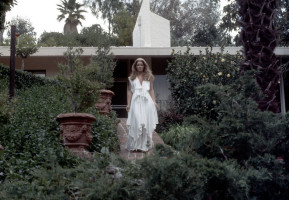 Priscilla Presley photo #