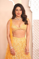 Priyanka Chopra photo #