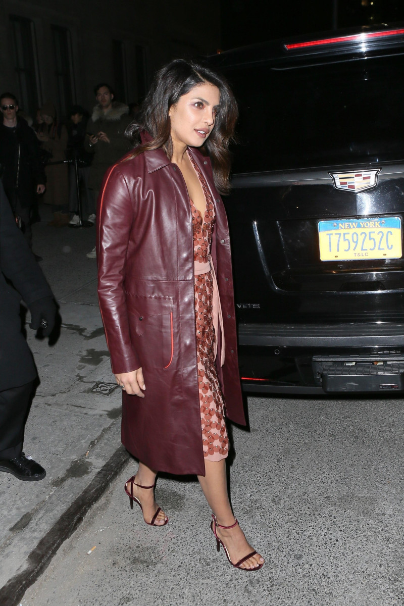 Priyanka Chopra: pic #1007268