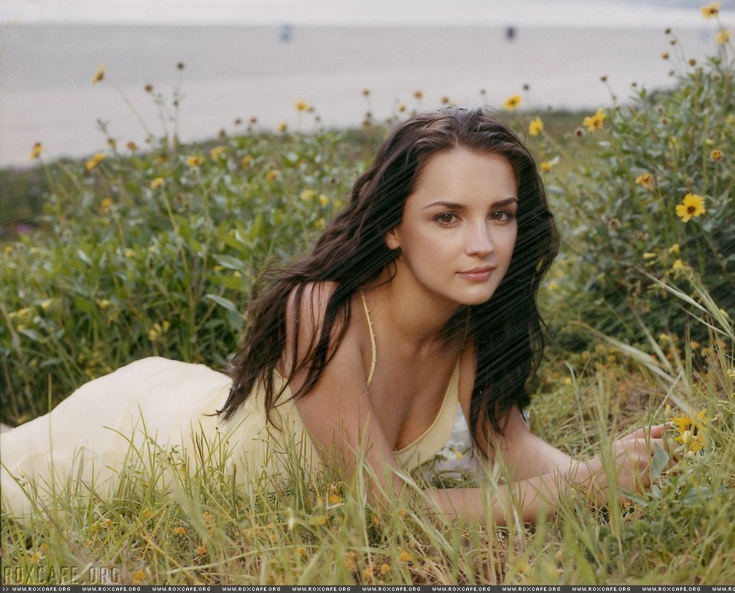 Rachael Leigh Cook: pic #80443