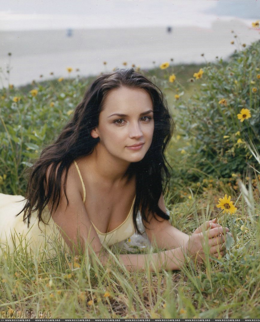 Rachael Leigh Cook: pic #60524