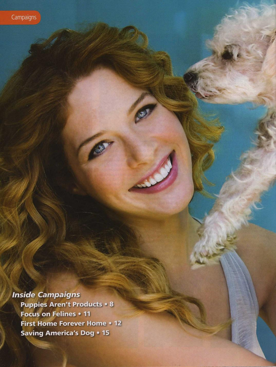 Rachelle Lefevre: pic #246083