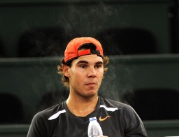 photo 10 in Nadal gallery [id458996] 2012-03-13