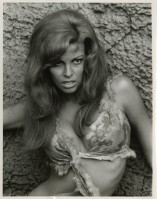 Raquel Welch photo #