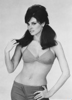 Raquel Welch photo #