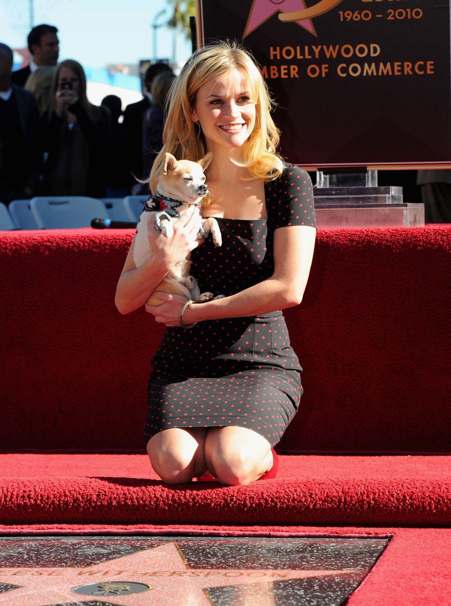 Reese Witherspoon: pic #313300