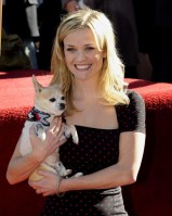 photo 11 in Reese Witherspoon gallery [id312155] 2010-12-06