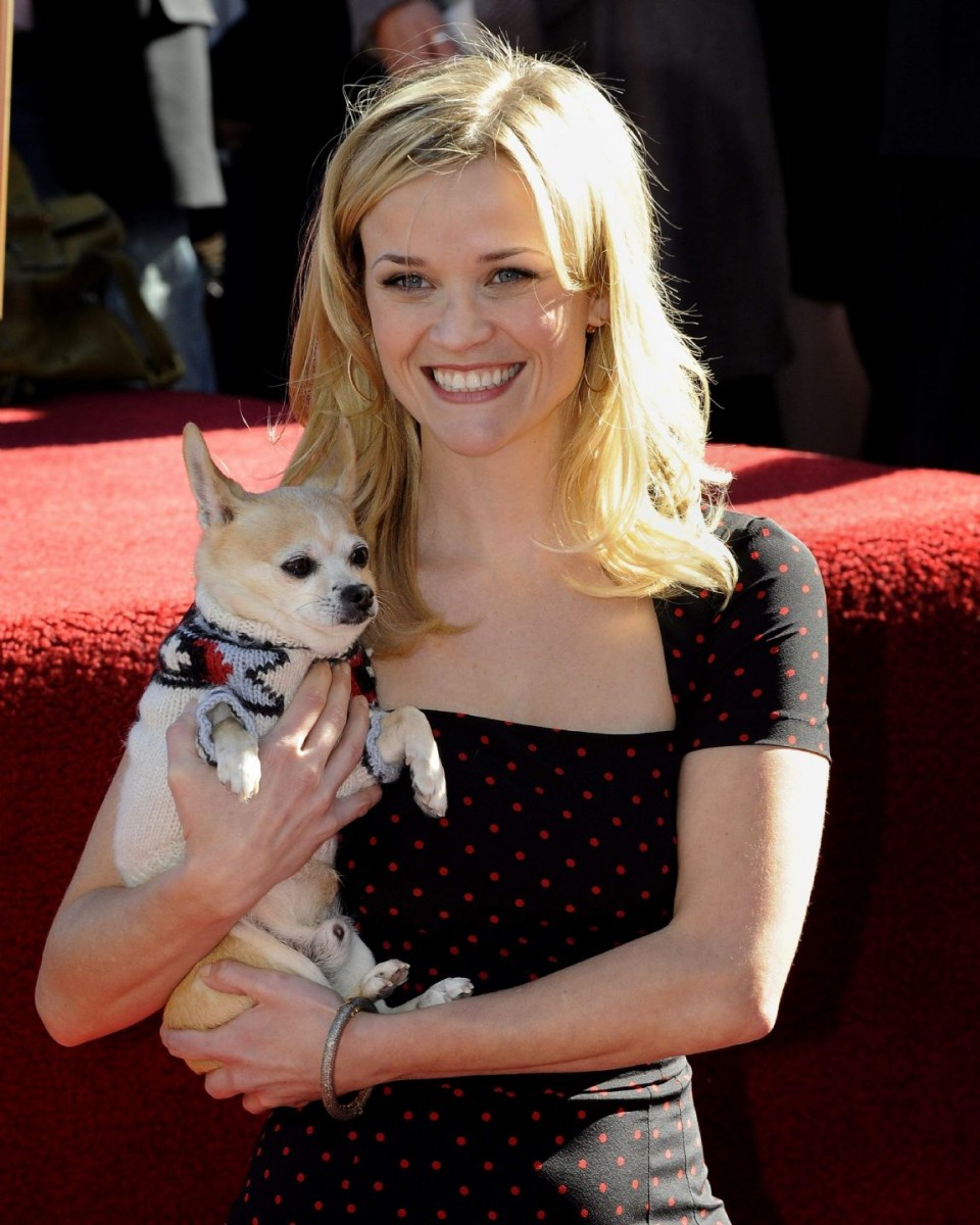 Reese Witherspoon: pic #312155