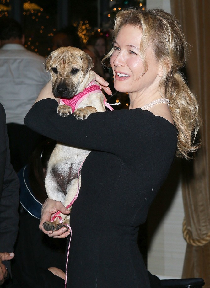 Renee Zellweger: pic #986652