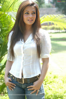 Riya Sen photo #