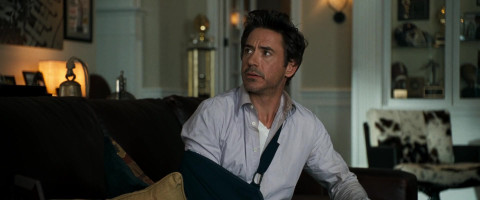 Robert Downey Jr. photo #