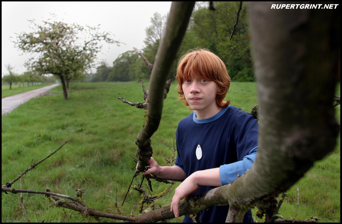 Rupert Grint: pic #141052