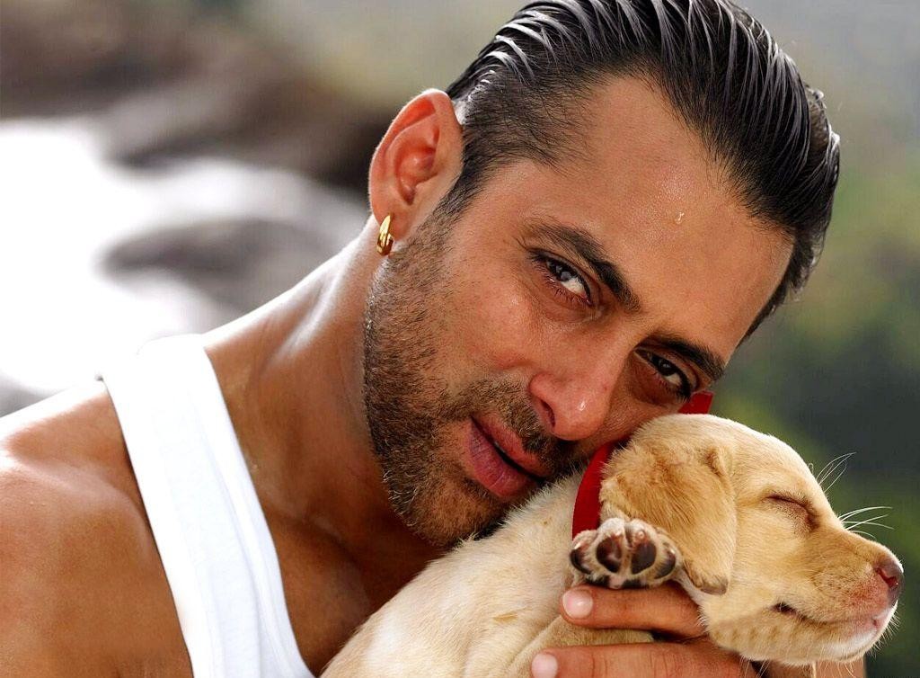 Salman Khan: pic #431746