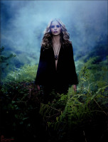 Sarah Michelle Gellar photo #