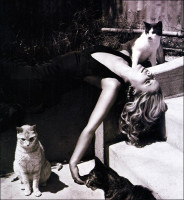 Sarah Michelle Gellar photo #