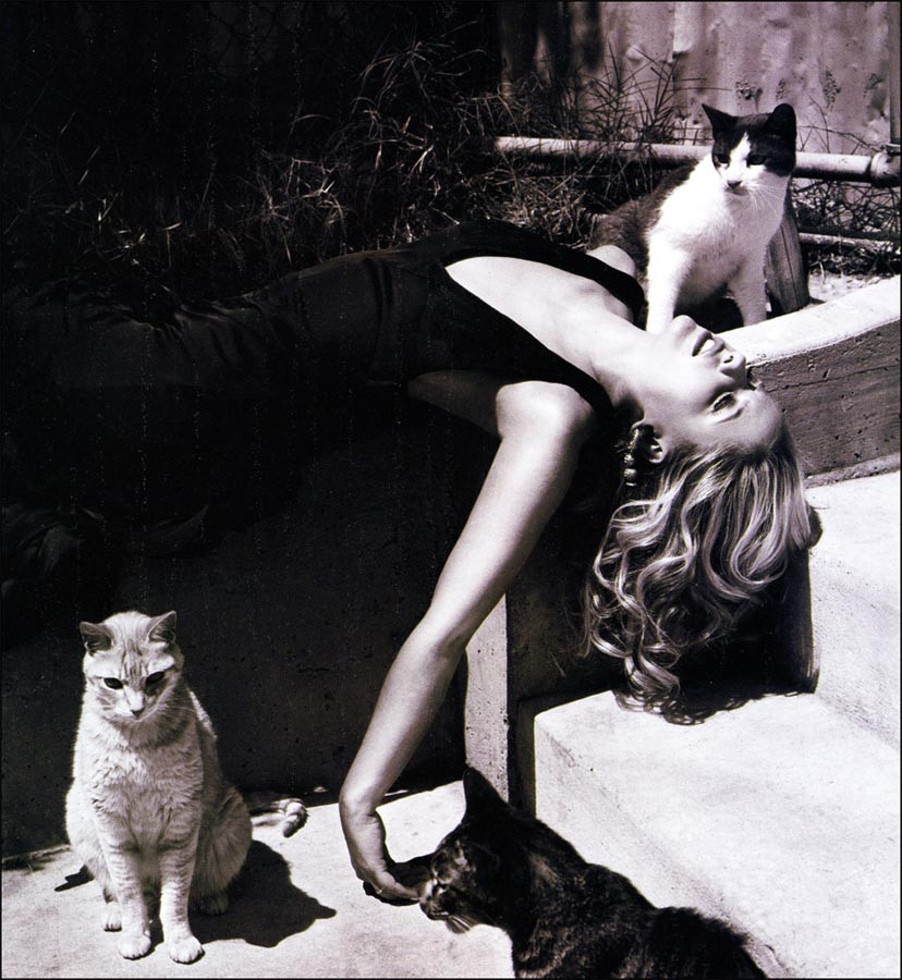 Sarah Michelle Gellar: pic #24535