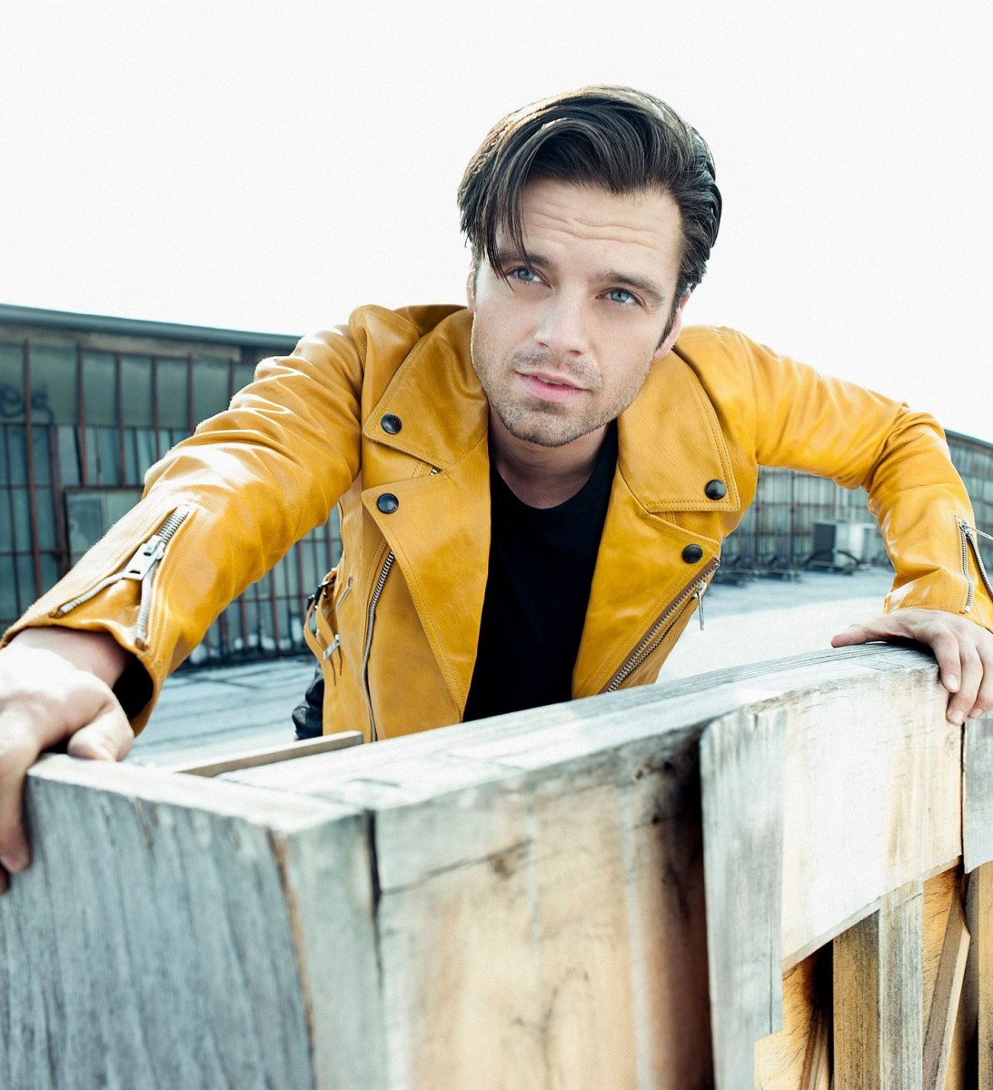 Sebastian Stan: pic #874896