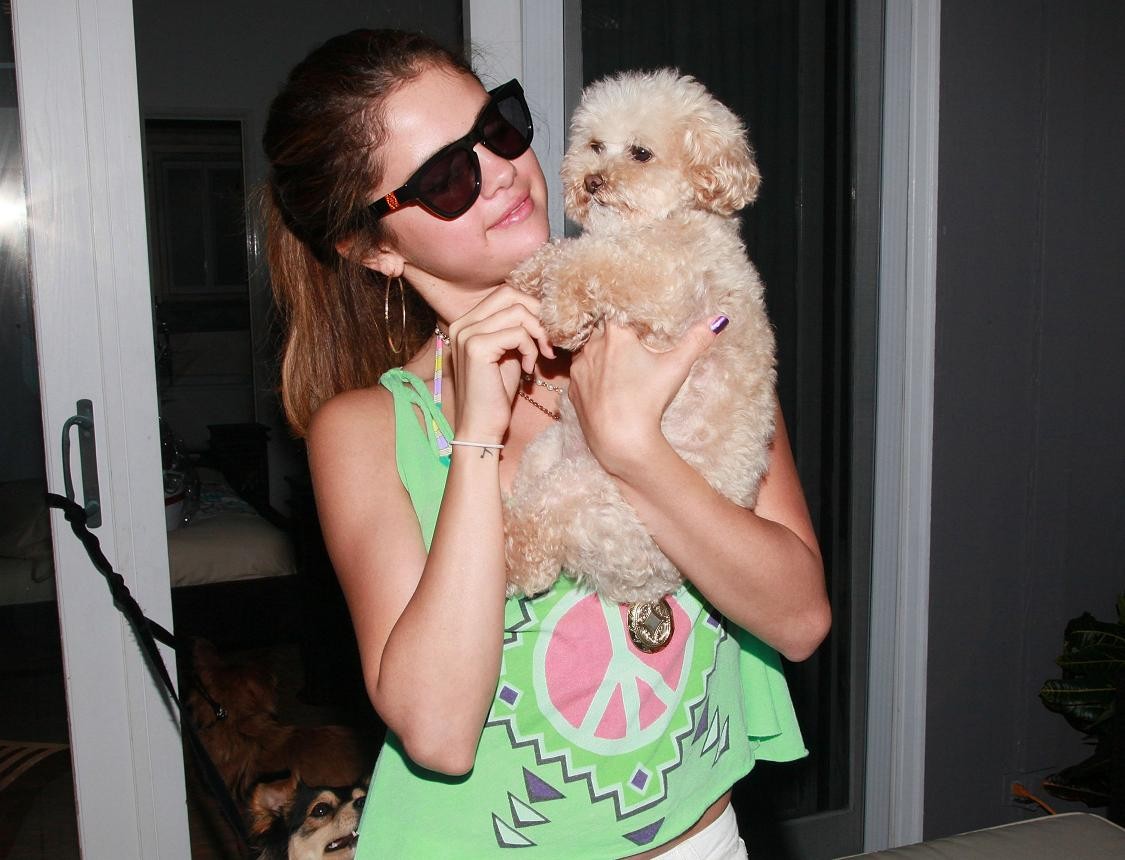 Selena Gomez: pic #506479