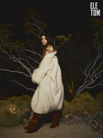 photo 7 in Swan gallery [id1363981] 2025-01-20