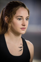 Shailene Woodley photo #