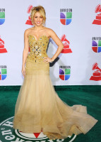 Shakira Mebarak photo #