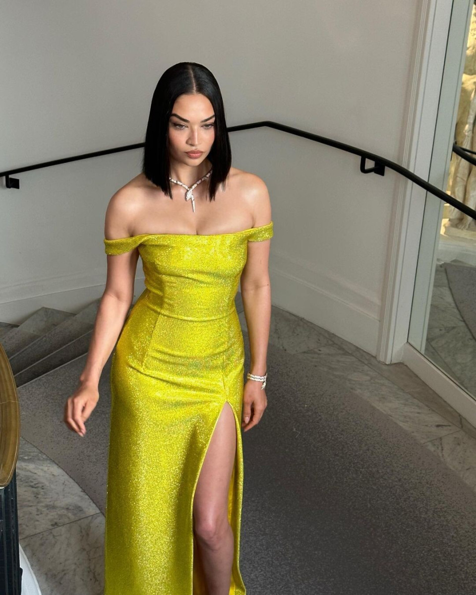 Shanina Shaik: pic #1330002