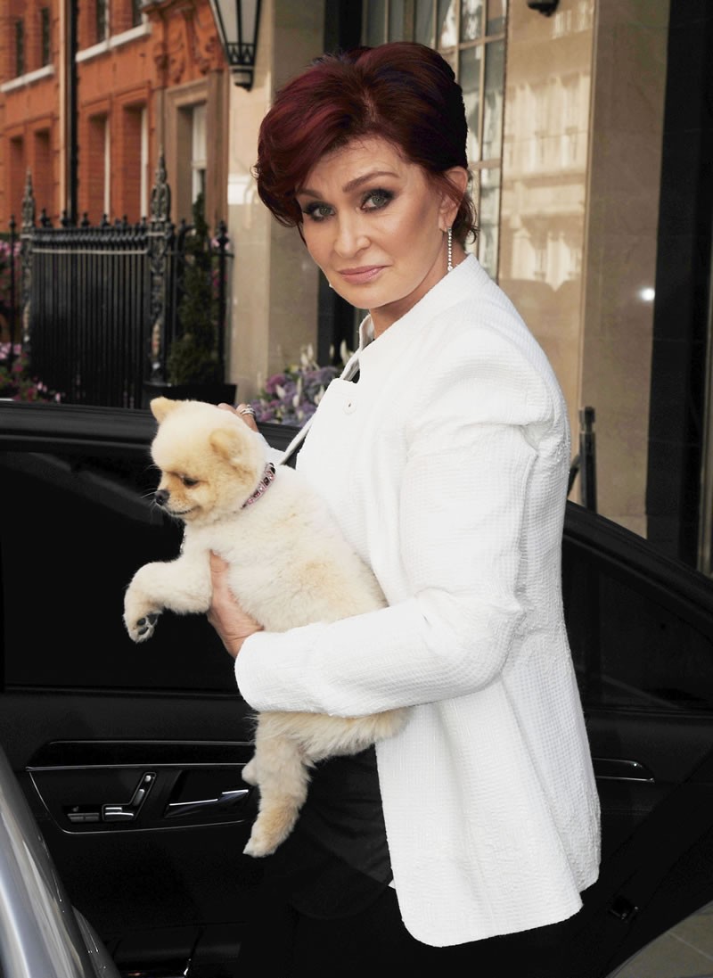 Sharon Osbourne: pic #627235