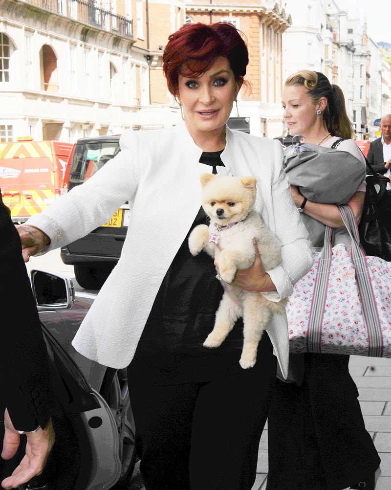 Sharon Osbourne: pic #627231