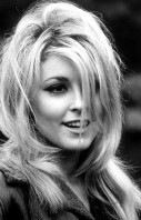 Sharon Tate photo #