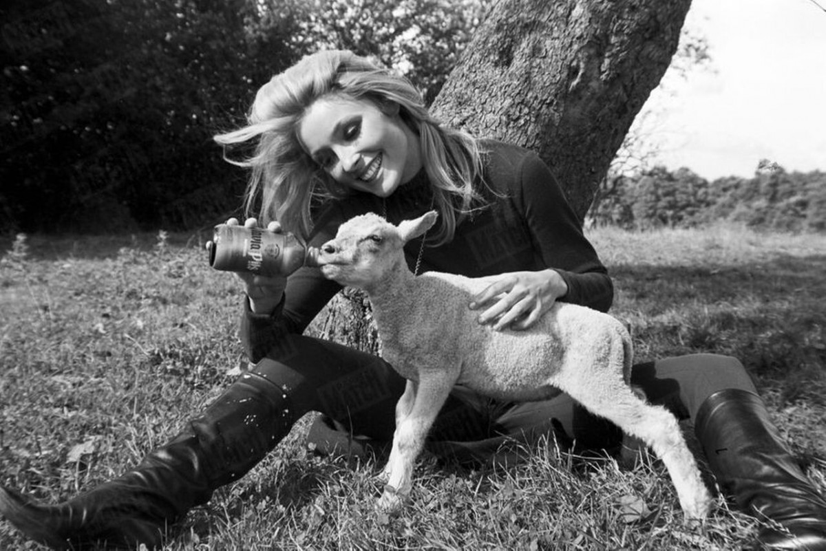 Sharon Tate: pic #1298163