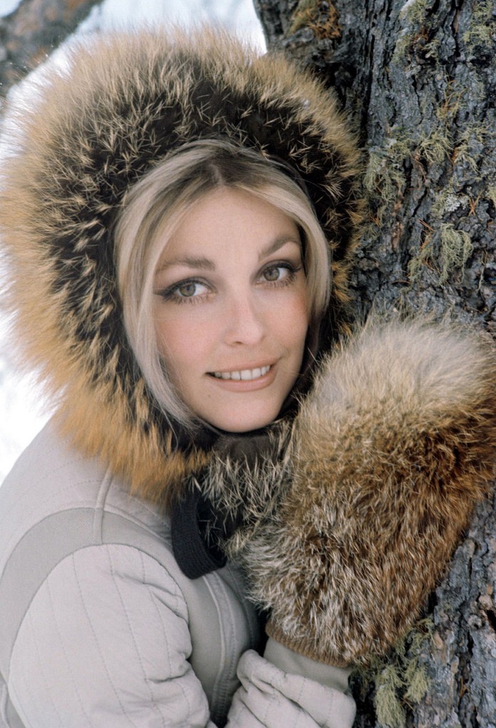 Sharon Tate: pic #278469