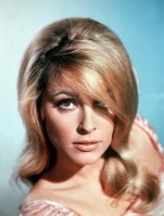 Sharon Tate photo #