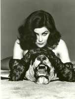 Sherilyn Fenn photo #