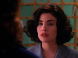 Sherilyn Fenn photo #