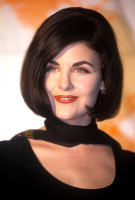 Sherilyn Fenn photo #