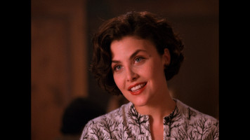 Sherilyn Fenn photo #