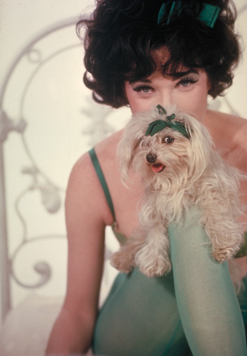 Shirley Maclaine: pic #413567