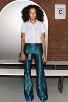 photo 4 in Solange Knowles gallery [id671599] 2014-02-24