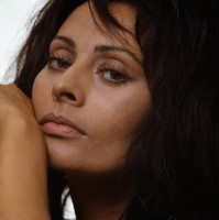 Sophia Loren photo #