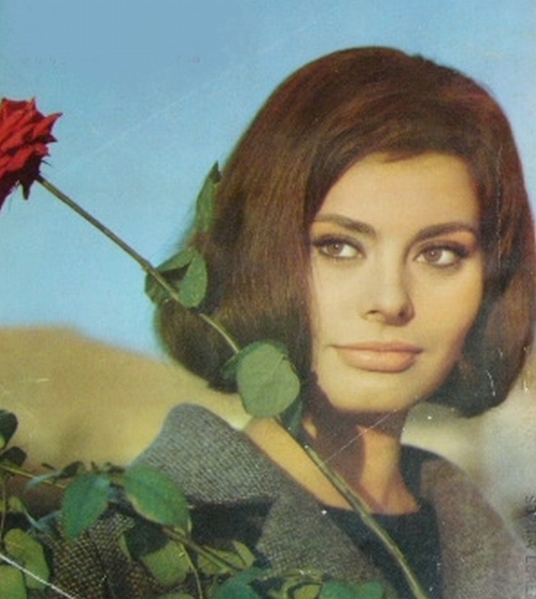 Sophia Loren: pic #150280